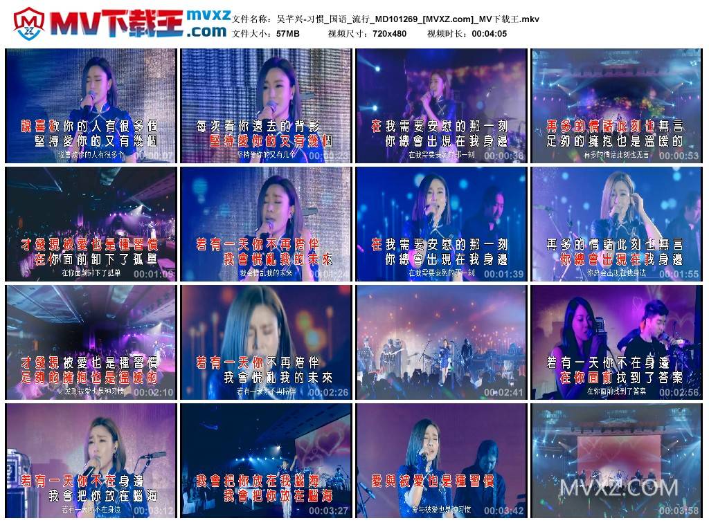 吴芊兴-习惯_国语_流行_MD101269